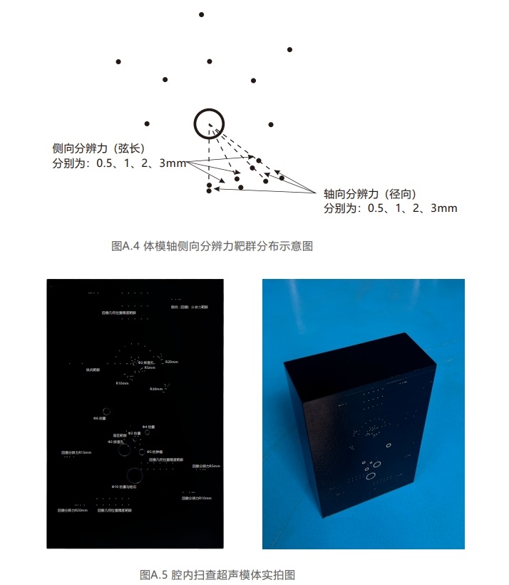 腔內掃查超聲模體9